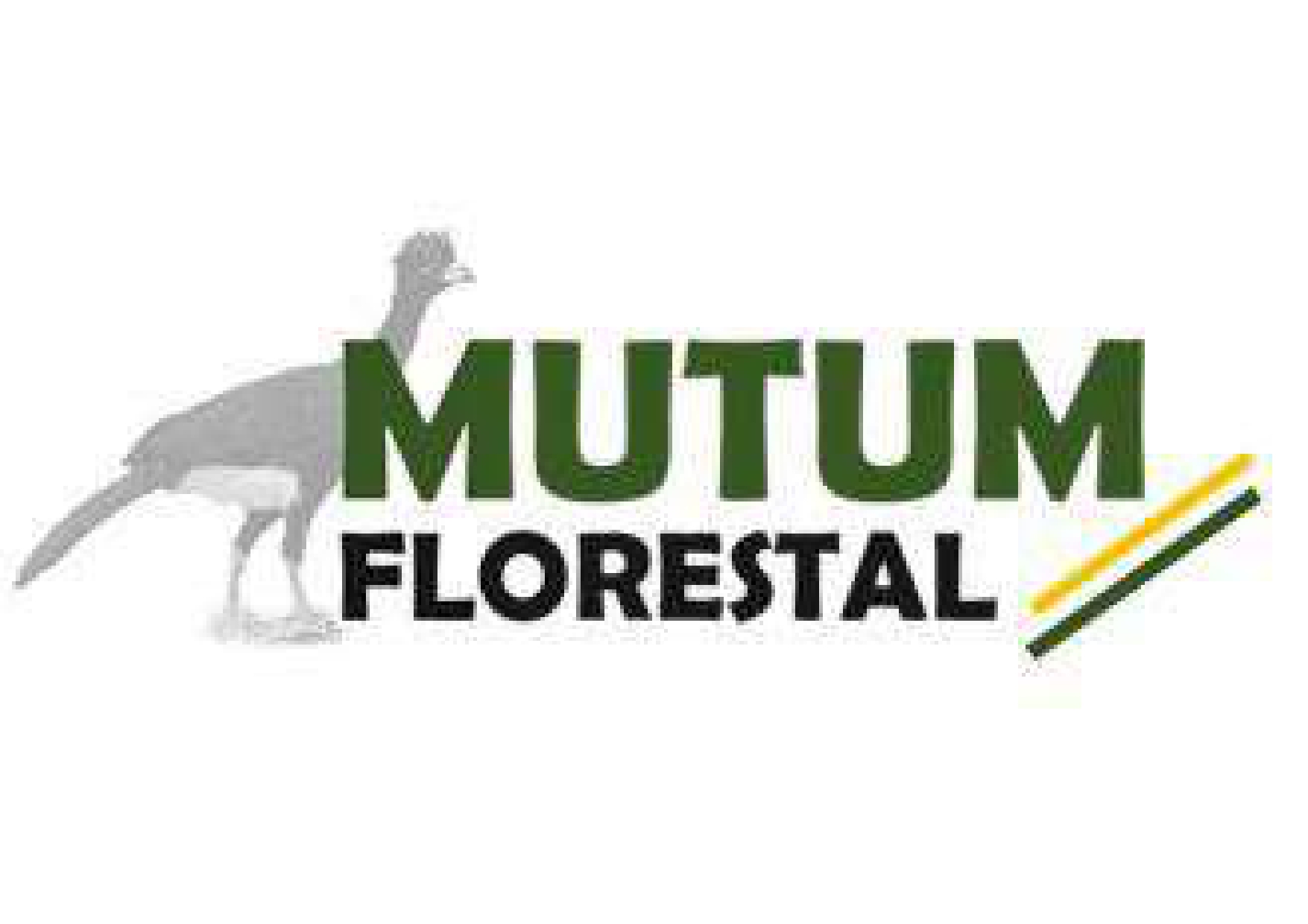 Mutum Florestal